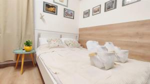 Republicii Small Central Studio