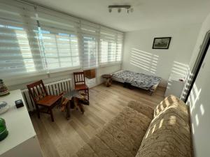 Mieszkanie Pod Sztolniami- Riese