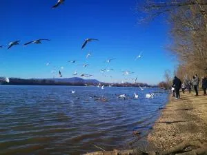 Duna Riverside - 多瑙凯西