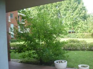 Aquincum Dunaparti Apartman