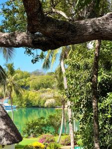 African Funhouse Mtwapa, Creek View, Jacuzzi, Table Tennis & more