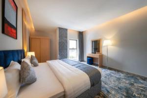 فندق بيرلي ابها