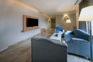 فندق بيرلي ابها