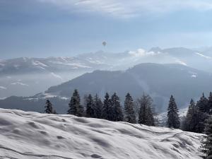 Grafenburg, Residenz Bayern