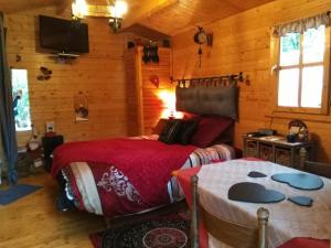 B&B / Chambres d'hotes Au Cabanon Chez Nath - chbre d'hotes - gite : photos des chambres