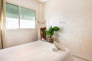 TT Holidays Cosy Apartment Hassan