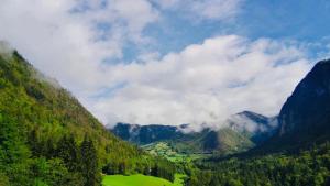 Chalets Chalet du Bonheur : photos des chambres