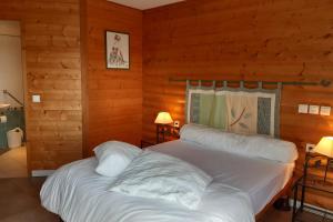 Appartements Appartement les Coquelicots Super Besse : photos des chambres
