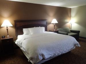 Premier King Room - Non-Smoking room in Wingate by Wyndham Baltimore BWI Airport