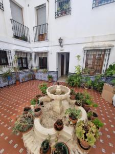 Vivienda Turistica en el Patio de la Judería