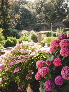 Gite Le MAGNAN au Clarou