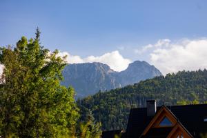 Apartament LUX Giewont View Droga Do Walczaków 30 by RentiloPL