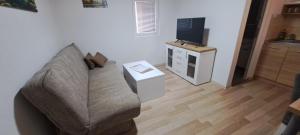 Prenociste jezerske zvezde