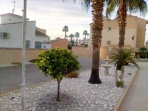 Ferienwohnung in Orihuela Costa - 3 Zimmer