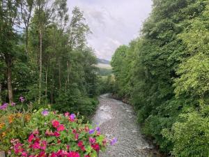 Appartements Charming Bright Spacious Village Walk to lift Hike : photos des chambres