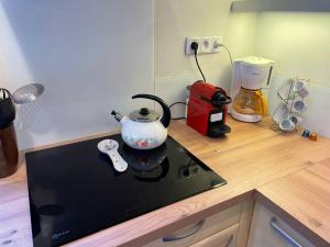 Appartements Charming Bright Spacious Village Walk to lift Hike : photos des chambres