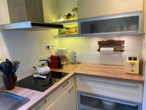 Appartements Charming Bright Spacious Village Walk to lift Hike : photos des chambres