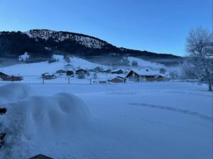 Appartements Charming Bright Spacious Village Walk to lift Hike : photos des chambres