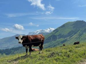 Appartements Charming Bright Spacious Village Walk to lift Hike : photos des chambres