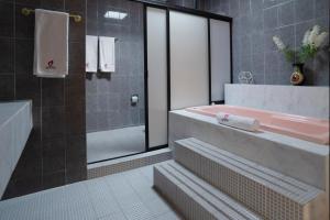 HOTEL DEL VALLE INN IXMIQUILPAN