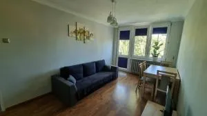 Zofii Las - Wisznice