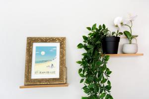 Appart 12 pers 5km plage Hendaye