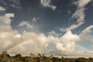 Corumbau Cura - Keneya