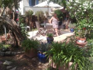 La Figounette du Soleil