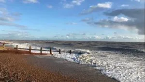 Beautiful Character Property - 昂姆林