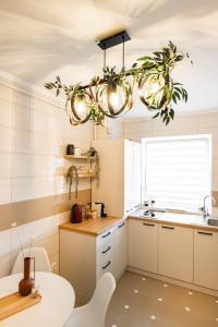 B26 Apartment