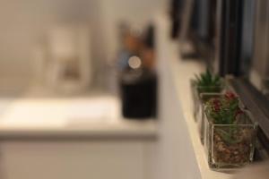 Appartements Annecy apt w car park near downtown and lake : photos des chambres