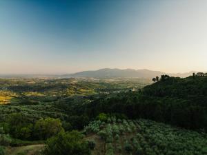 Orto dei Bruchi