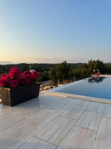 Stone house with private infinity pool