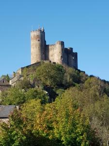 Maisons de vacances Les Rives de Saint-Blaise - Maison en pleine nature a Najac : photos des chambres