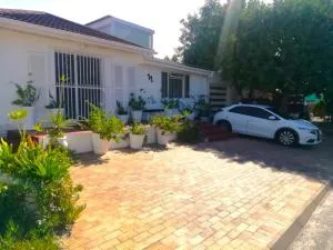 11 on Orange - براكينفيل