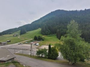 Charmant 2 pièces avec balcon et parking au Col du Corbier - FR-1-573-107