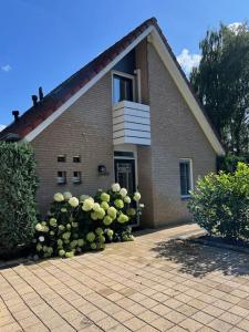Villa June Rosy