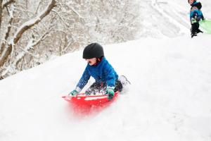 Mountain View Totoro - spacious & sunny