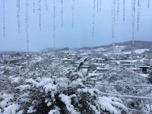 Mountain View Totoro - spacious & sunny