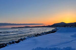 Mountain View Totoro - spacious & sunny