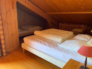 Chalets Chalet Crest-Voland, 9 pieces, 14 personnes - FR-1-733-77 : photos des chambres