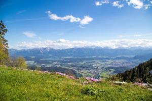 Ferienhäuser Gerlitze