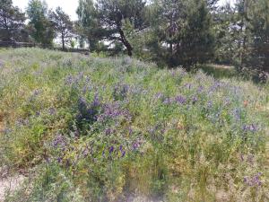 Dom Mazury w Ilawie,łódź rybacka,czerwony i zielony