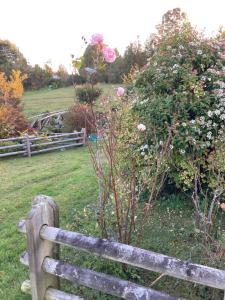 El Viloche - Casa de campo con tinaja