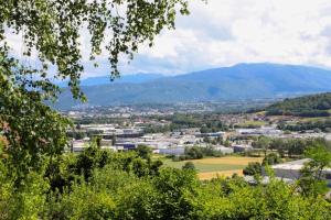 Chalets Family cottage and its greenery : photos des chambres