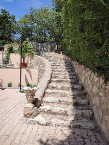 Appartements Studio im Grunen mit Pool : photos des chambres