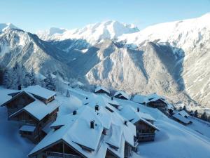 Chalets Chalet Le Yeti de Villard 14 Prs - Domaine Alpe d'Huez - Bain nordique : photos des chambres