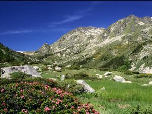 Appartements Pyrenees Catalanes Tres joli appartement 300m telecabines : photos des chambres