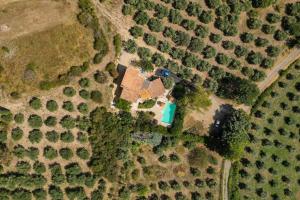 Charmant Bas de Villa au cœur de la Provence