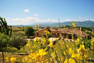 Agriturismo LAntico Oliveto